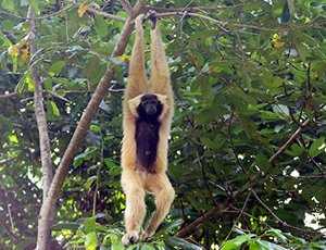 Off-the-beaten-track Cambodia Adventure