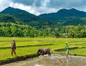 Experience Living Land (Lunch included)
